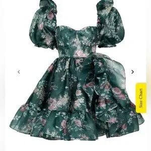 Selkie Green Gables Bebe Bloom Puff Sleeve Dress